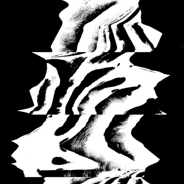 Experimentación gráfica con trazos orgánicos e intervención digital